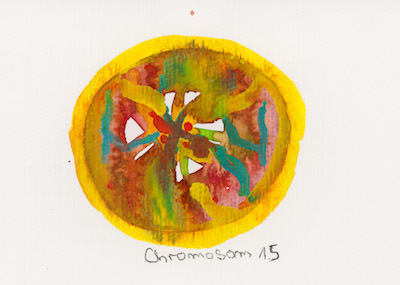 Chromosome 15