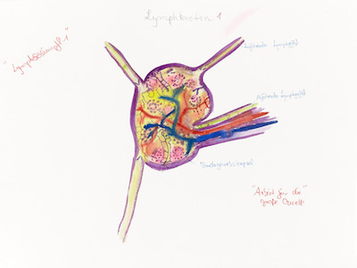 Lymphschlumpf 01 (Lymphstadium)