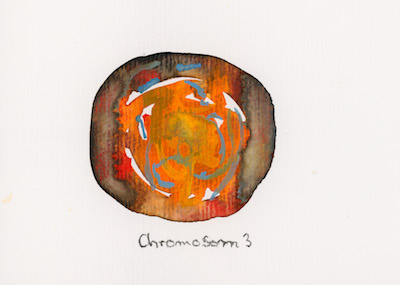 Chromosom 3